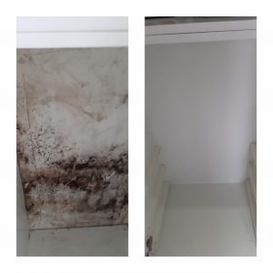 20191008_001043